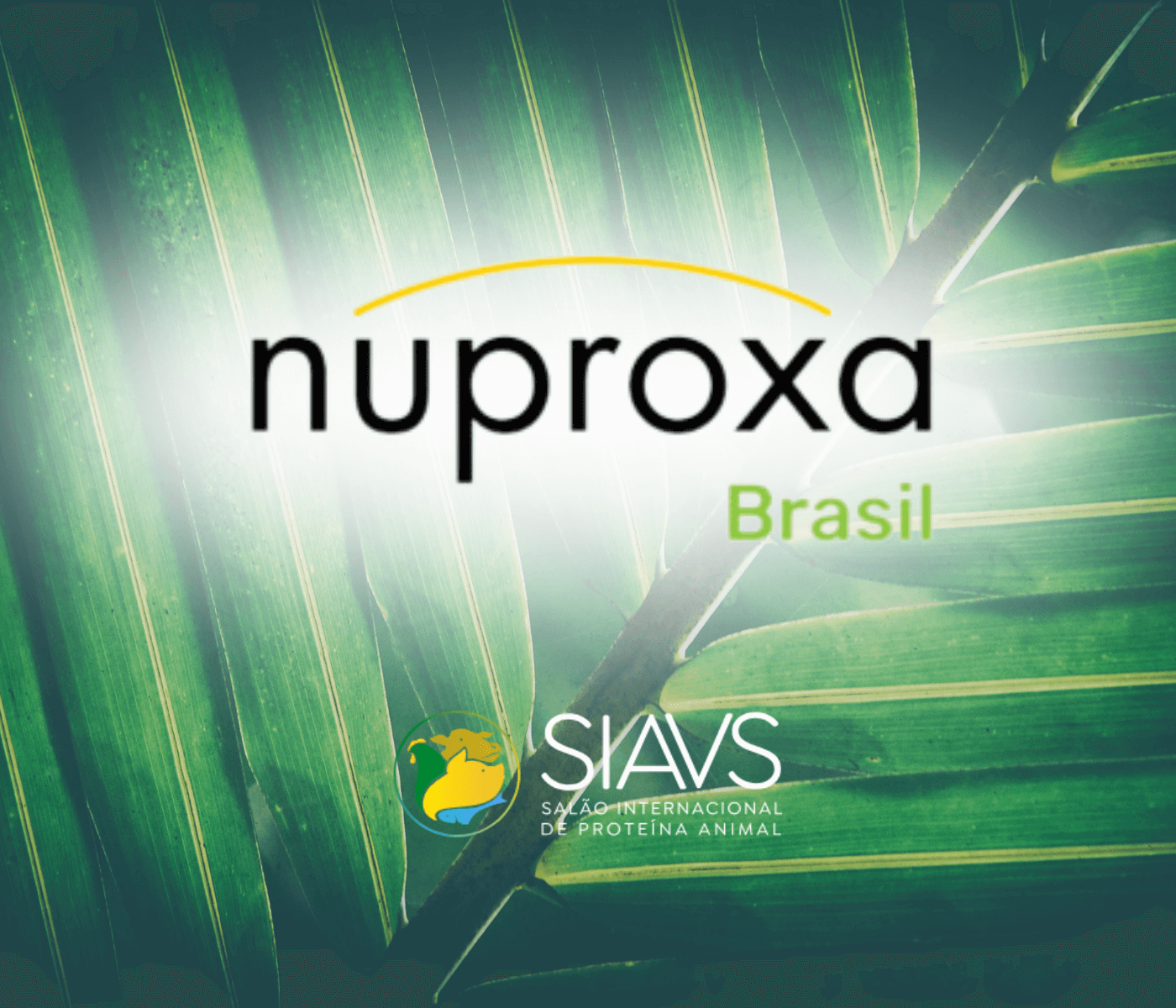 Grupo Nuproxa chega ao mercado brasileiro