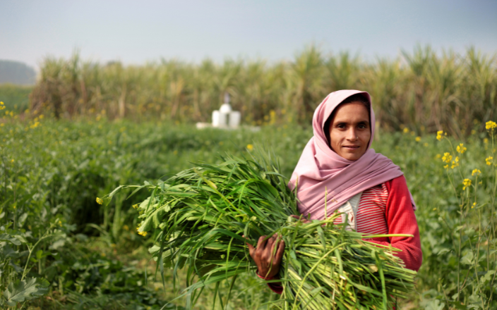 Preparing to celebrate the International Year of Rural Women.