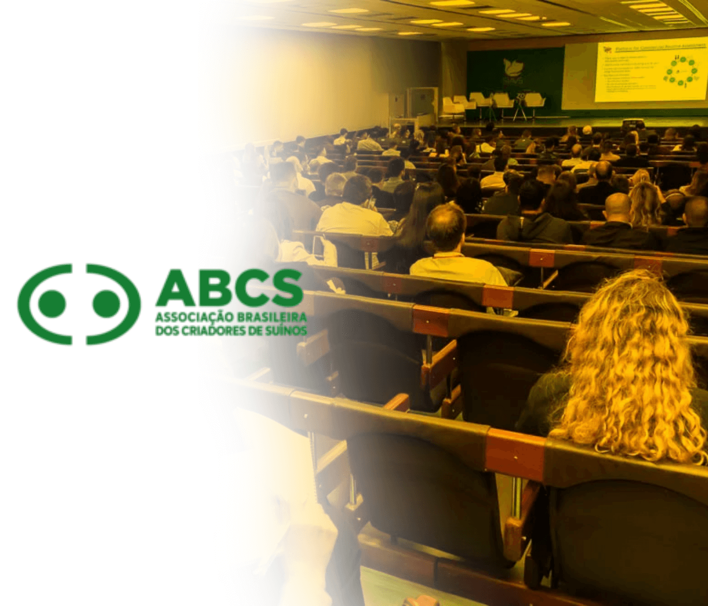 A ABCS realiza Simpósio no SIAVS 2024 com tendências e desafios para a suinocultura brasileira