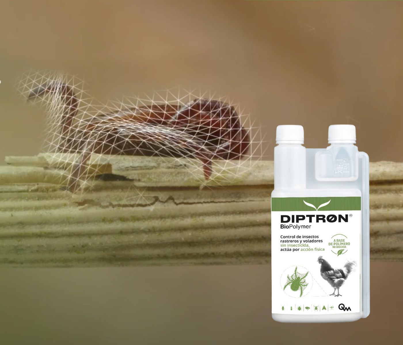 DIPTRON® BioPolymer, innovador polímero para el control del ácaro rojo con presencia de las aves