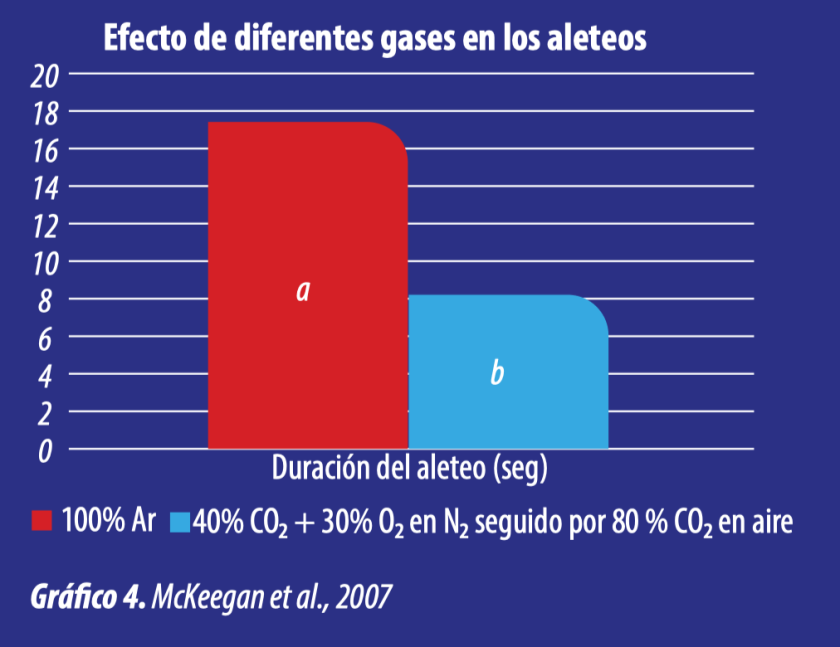 Aturdido y calidad de la canal: consejos y buenas prácticas