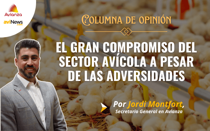 “El gran compromiso del sector avícola a pesar de las adversidades” por Jordi Montfort