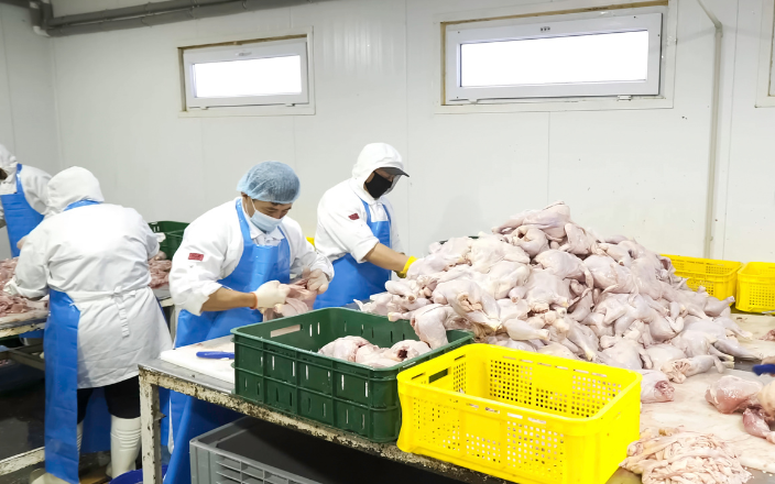 ICA temporarily suspends poultry imports from Brazil