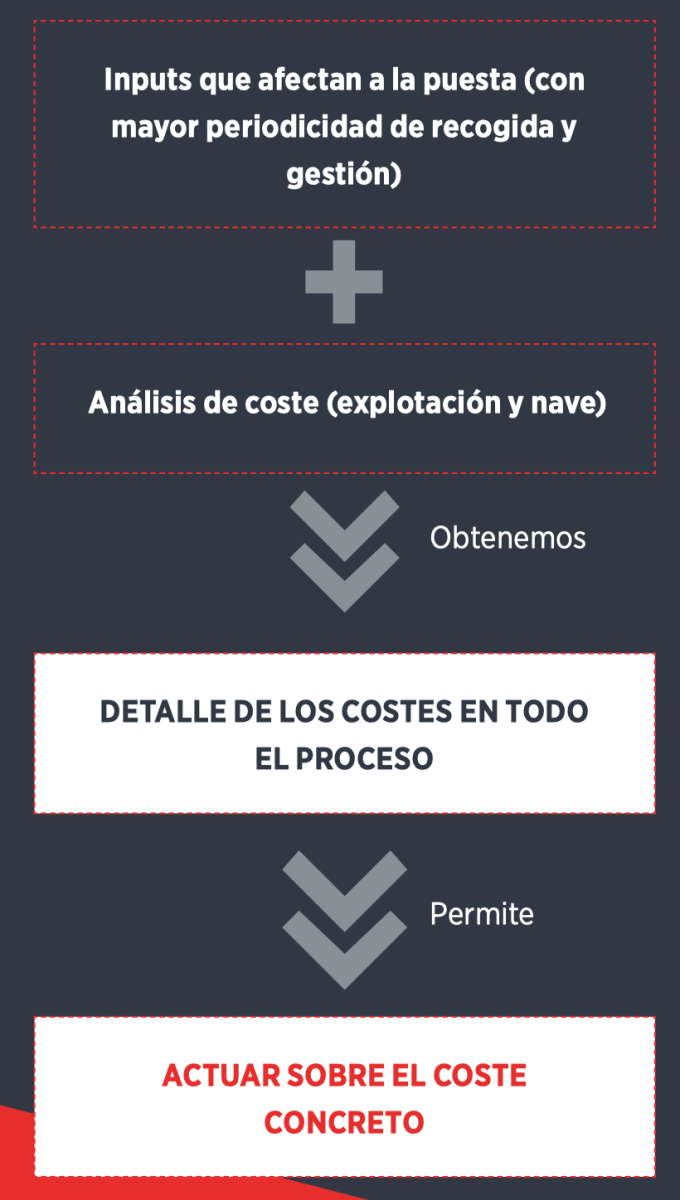 Costes de producción en el sector avícola de puesta