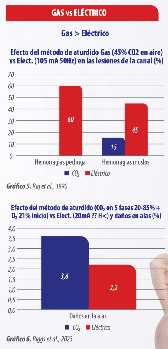 Aturdido y calidad de la canal: consejos y buenas prácticas