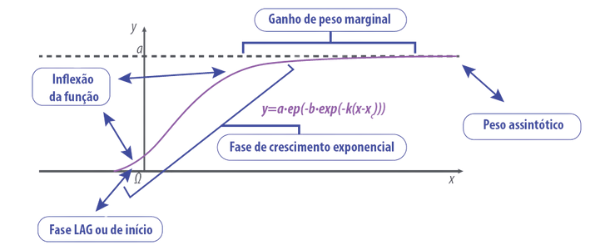 Desenho 1. Representação gráfica de uma equação de Gompertz.