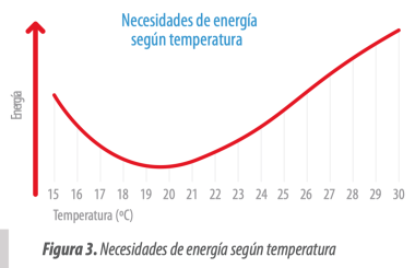 Tamaño de huevo: Parámetros claves en producción de huevos