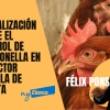 Actualización sobre el control de Salmonella en el sector avícola de puesta por Félix Ponsa