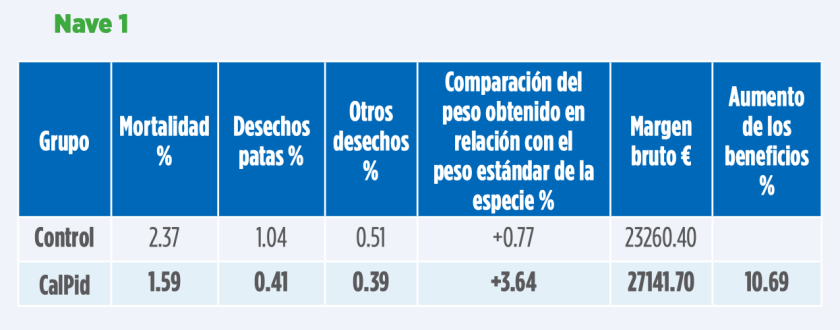 Mejora la salud de las patas de tus aves