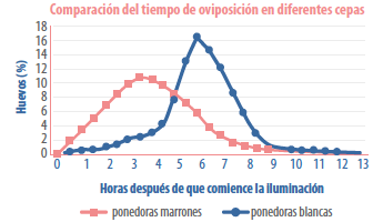 Oviposición en difrentes cepas