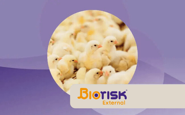 Biorisk External