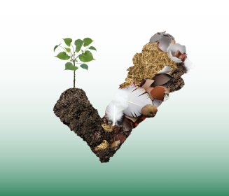 Sustainability in poultry production through the efficient use of poultry manure