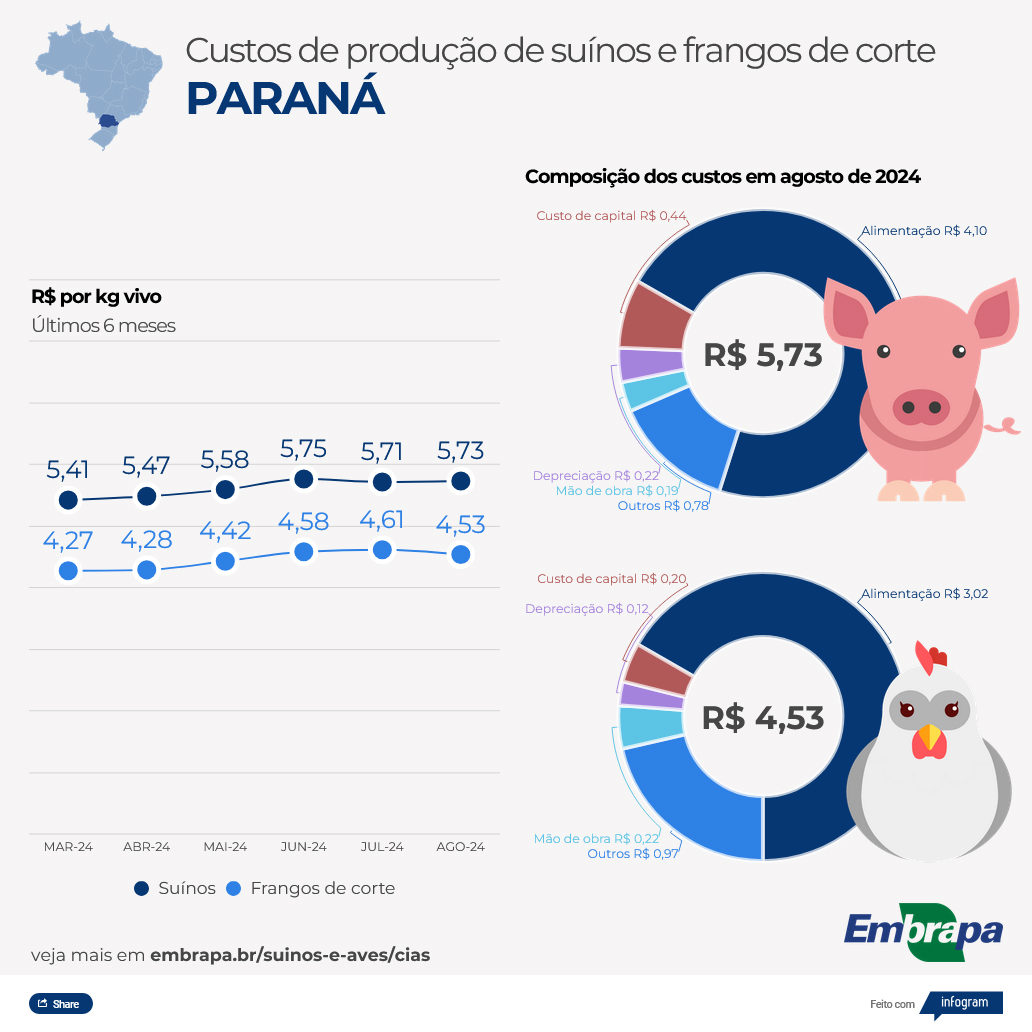 Custos de produção de frangos de corte caem em agosto; produzir suíno ficou mais caro