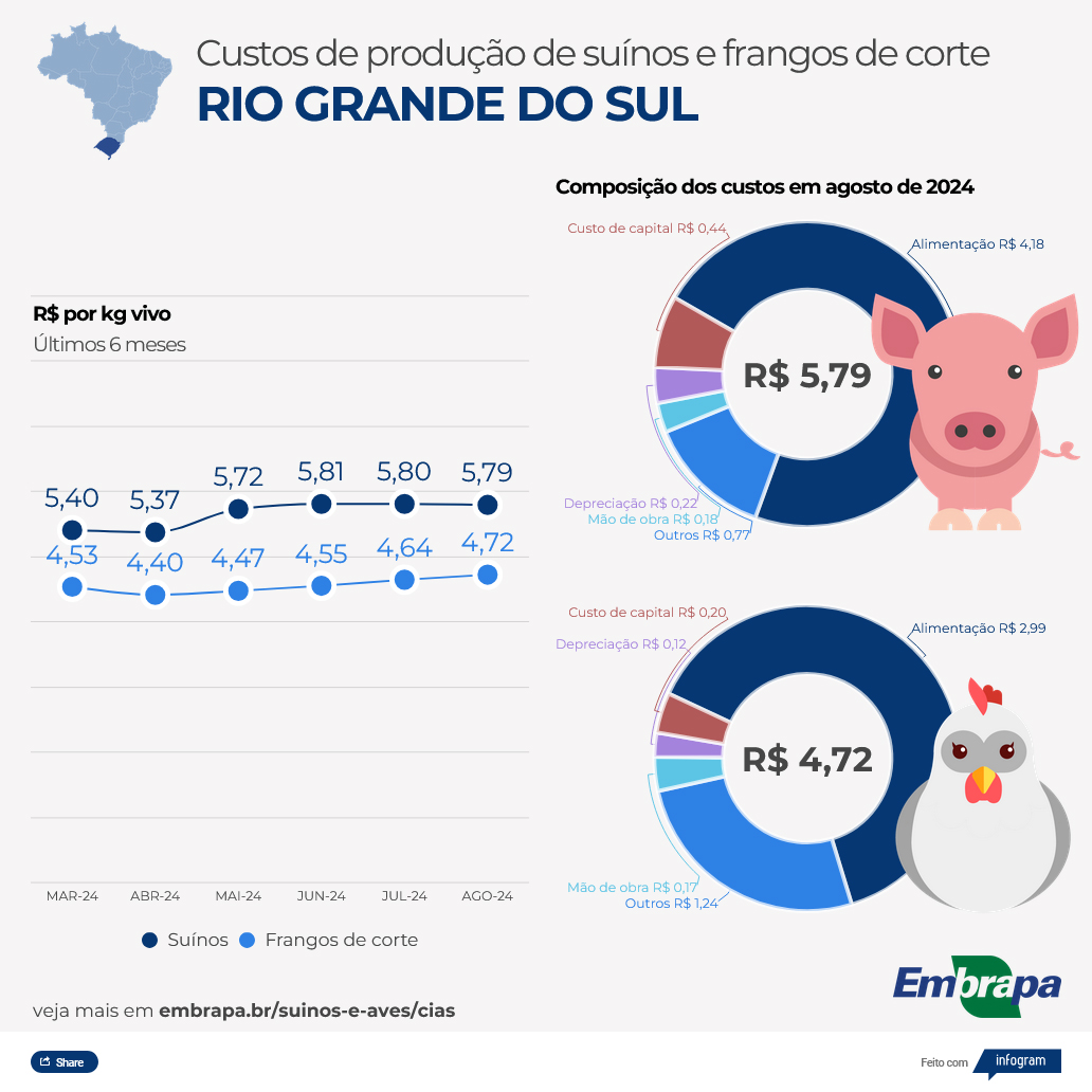 Custos de produção de frangos de corte caem em agosto; produzir suíno ficou mais caro