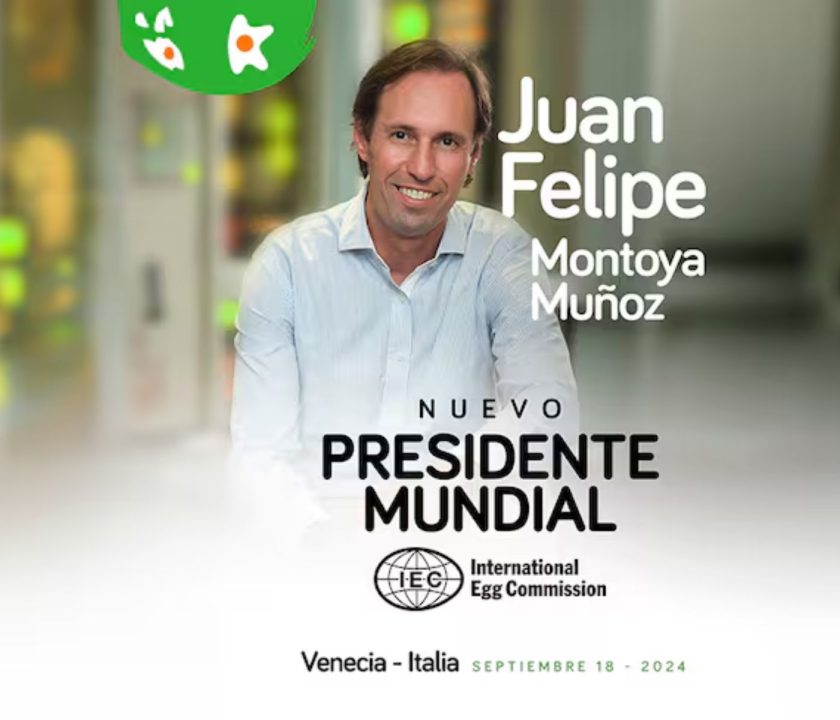 Productor de huevos colombiano Juan Felipe Montoya: Primer presidente sudamericano de la IEC