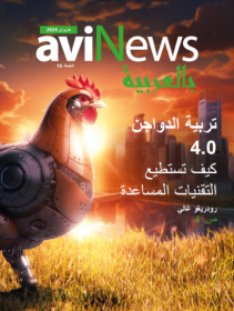 aviNews بالعربيّة ديسمبر|كانون الأول 2024