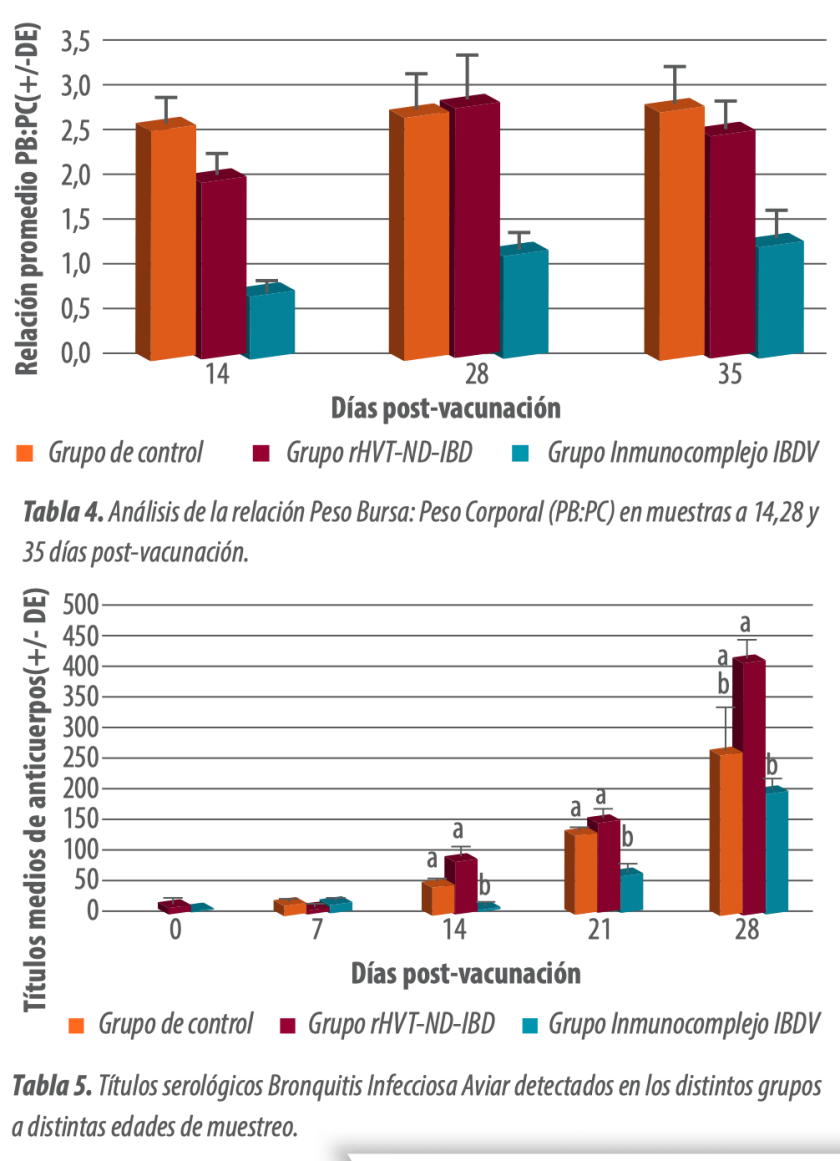 Gumboro y cepas reordenadas: Impacto en la salud aviar