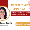 Recría y nutrición temprana: Claves para el éxito en avicultura