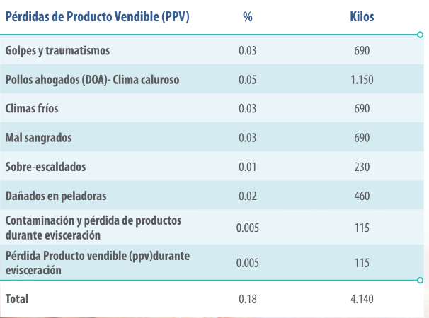 PROCESADO POLLO DE ENGORDE