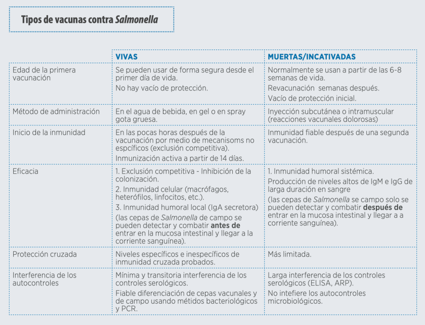 Salmonella en avicultura: evolución y estrategias vacunales