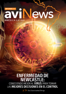 Avinews América Latina Septiembre 2024 