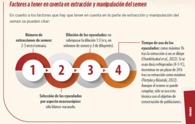 Gestión y conservación de la gallina valenciana de chulilla