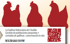 Gestión y conservación de la gallina valenciana de chulilla