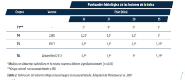 Bolsa de Fabricio en aves: funciones y desarrollo 