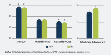  Hidroximinerales para ponedoras:mejora en la producción y calidad