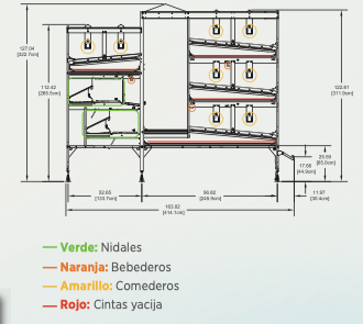 Sistema aviario eficiente: Natura Nova Barn, innovación en avicul... 