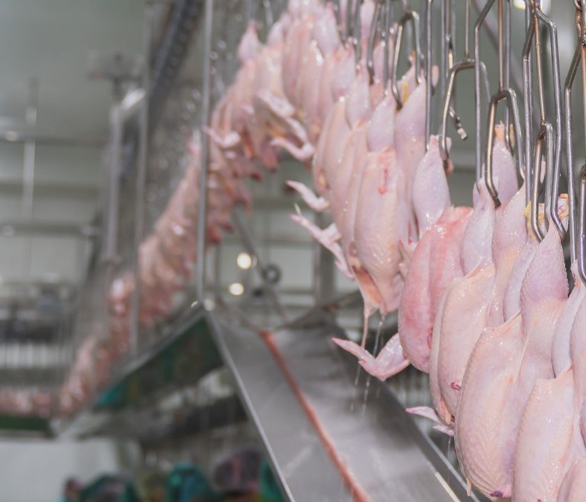 Brasil: Exportaciones de carne de pollo crecen 22,1% en septiembre 2024