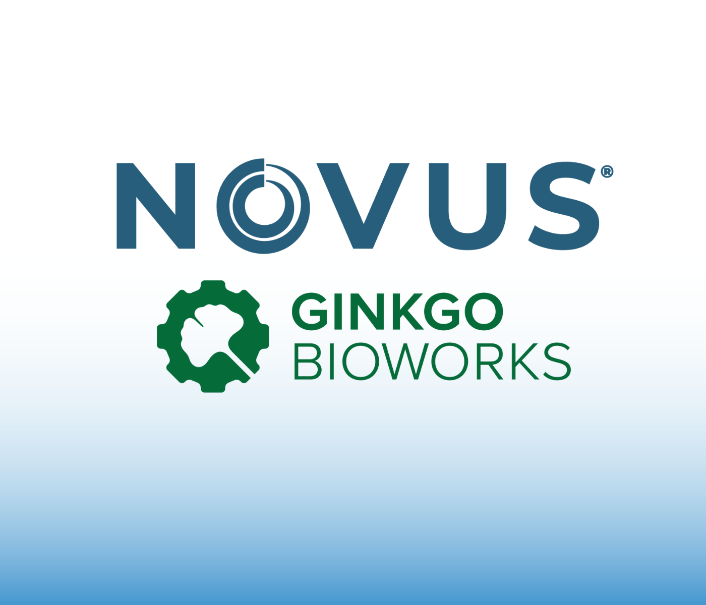 NOVUS partnering with biotech company to develop new feed additives