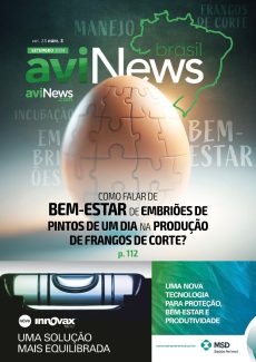 aviNews Brasil 3TRI 2024 