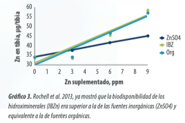 Hidroximinerales para ponedoras:mejora en la producción y calidad