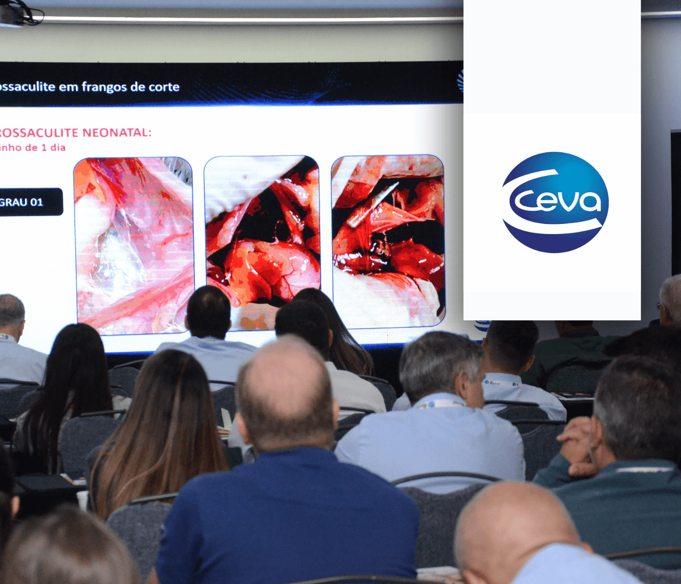 7º Fórum de Abatedouros Ceva Saúde Animal: impulsionando a indústria avícola com inovação e informações de ponta