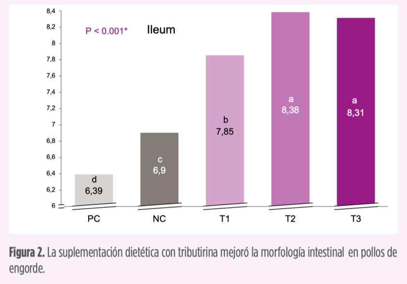 Tributirina como aditivo para pienso: una alternativa prometedora