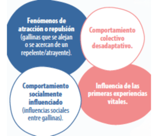 Asfixia y amontonamientos en granjas