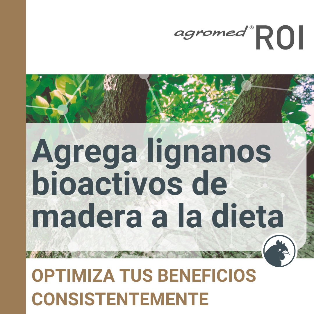 AGROMED® ROI Re-launch Campaign – square banner