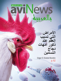 aviNews بالعربيّة ديسمبر|كانون الأول 2024