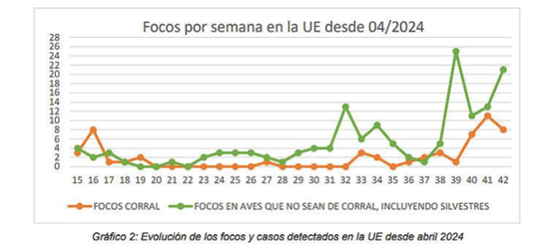 Aplicación de medicamentos veterinarios: Novedades y dudas