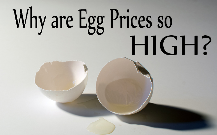 Egg prices soar again: Avian Flu and Holidays to blame