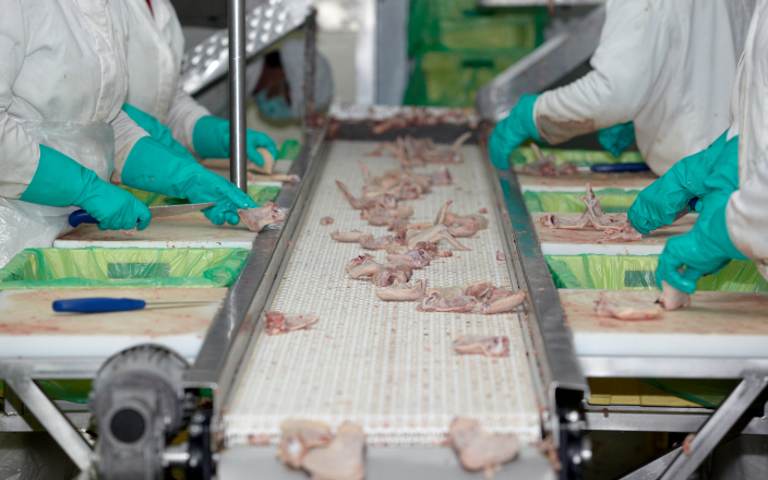 Poultry processing