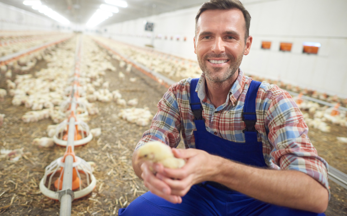 Ukrainian poultry farmer reveals major investment plans in Slovakia