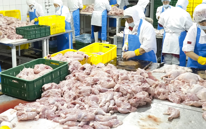 Changes in the regulation of poultry marketing in the UK