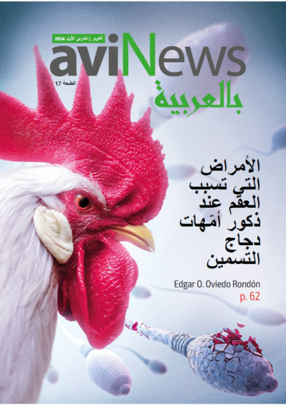 AviNews بالعربية أكتوبر/تشرين الأول 2024 AviNews Arabic