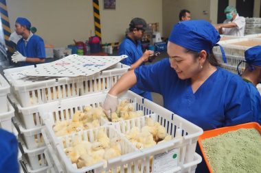 ID Food kembangkan bisnis unggasnya