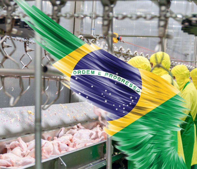 Brasil: Exportaciones de carne de pollo crecen 15,4% en octubre de 2024