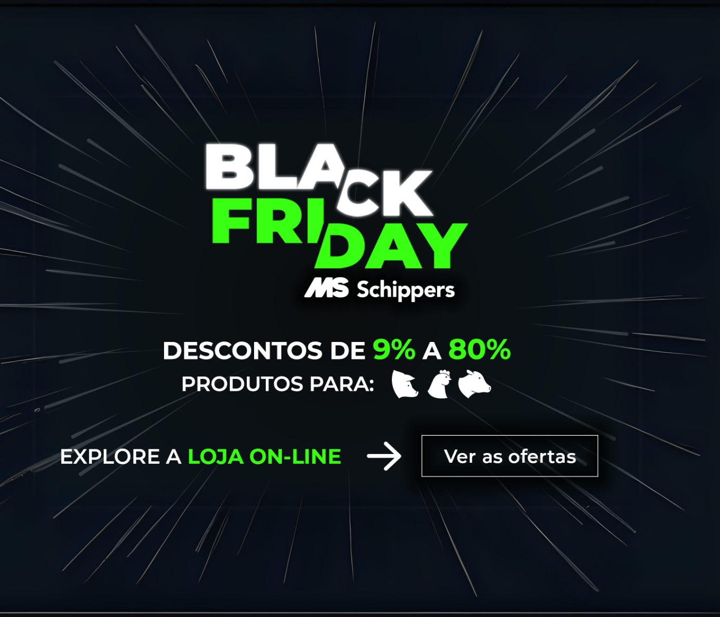 Descontos de até 80% na Primeira Black Friday da MS...