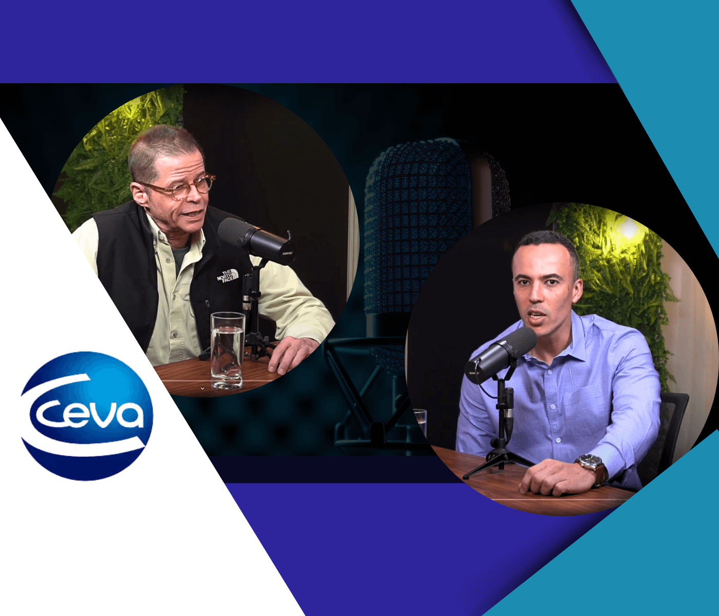 Ceva apresenta atualizações sobre Influenza Aviária no segundo episódio do CevaSounds