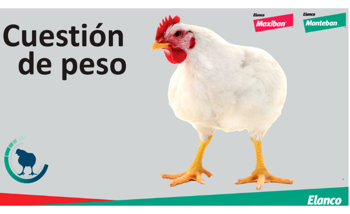 prevención y control de la coccidiosis